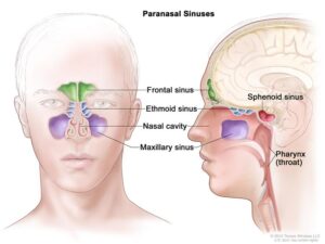 Functional Endoscopic Sinus Surgery for Nasal and Skull Base Diseases