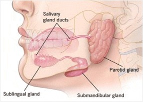 Disorders of Parotid and Submandibular Glands